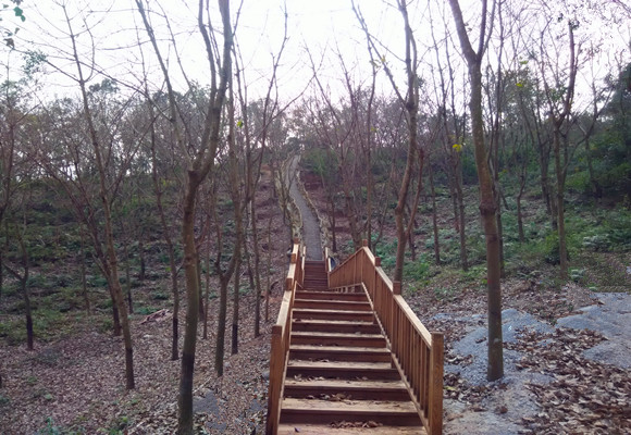 儋陽(yáng)森林公園上山步行道.jpg