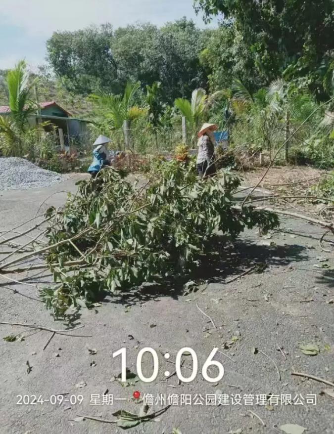 360截圖20240912094005199.jpg